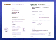 ISO9001 Certificate