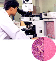 Stringent quality control systems in each process