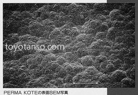 SEM Photograph of PERMA KOTE™ Surface