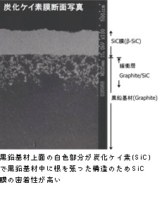 sem.jpg