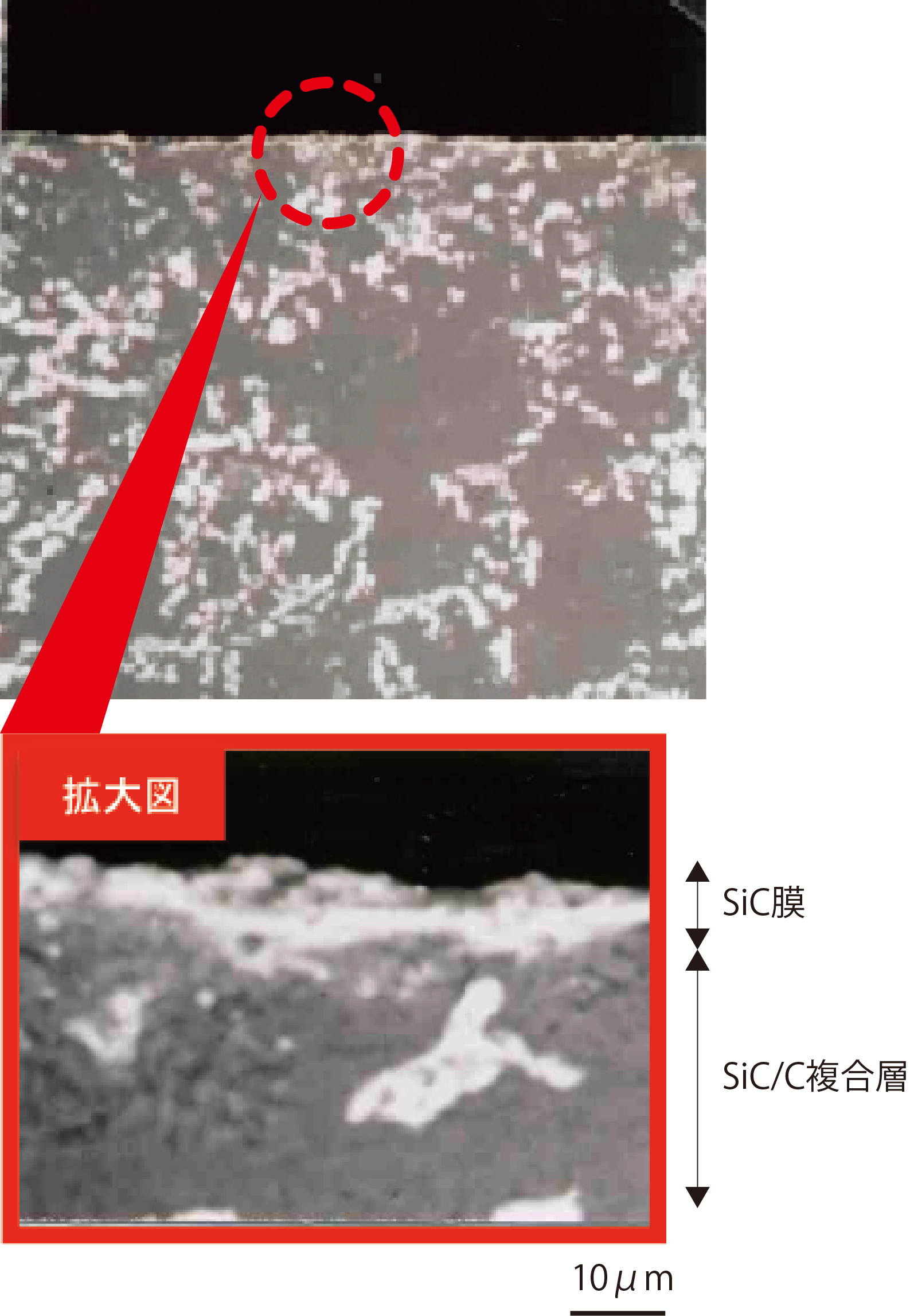 SiC C複合表層部断面写真.png